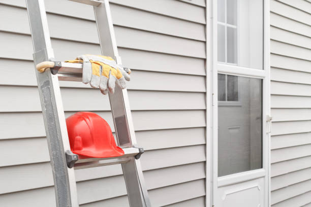 Best Siding Painting and Refinishing  in Monticello, WI