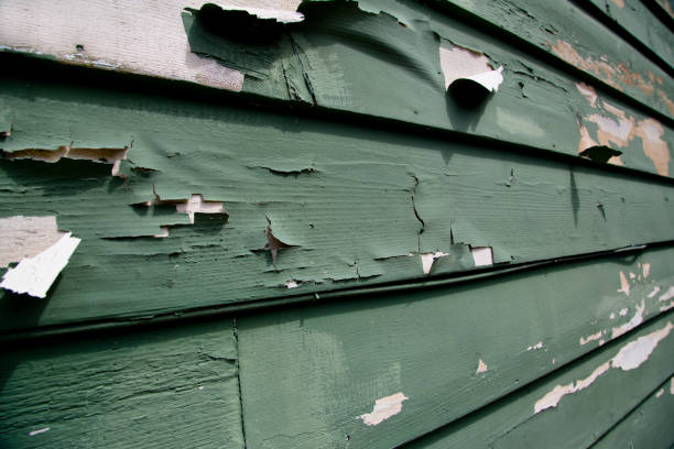 Affordable siding repair and maintenance services in Monticello, WI