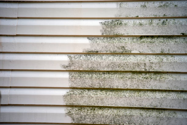 Best Composite Siding  in Monticello, WI