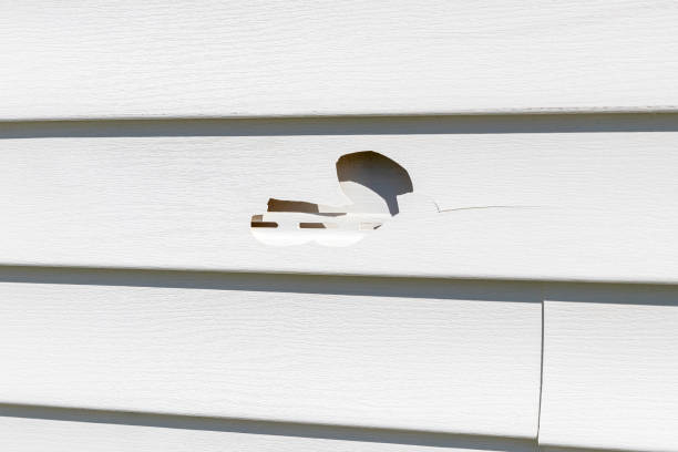 Best James Hardie Siding  in Monticello, WI