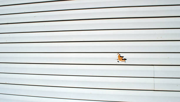 Reliable Monticello, WI Siding Installation & Repair Solutions