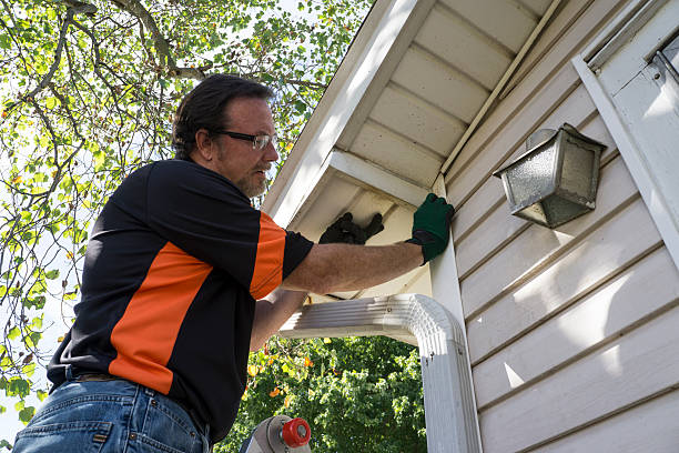 Best Stucco Siding  in Monticello, WI